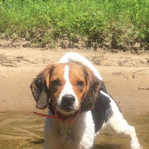 Meet your Posher, Billy